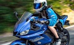 网游之风流骑士图片